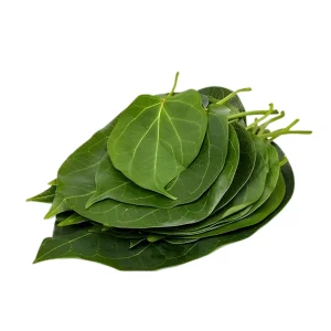 Green Milkweed Leaves