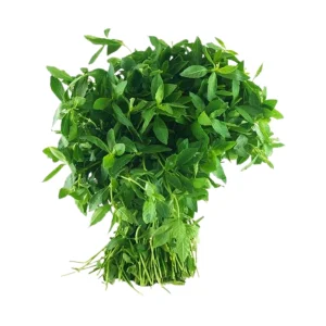 Sessile Joyweed (Mukunuwenna)