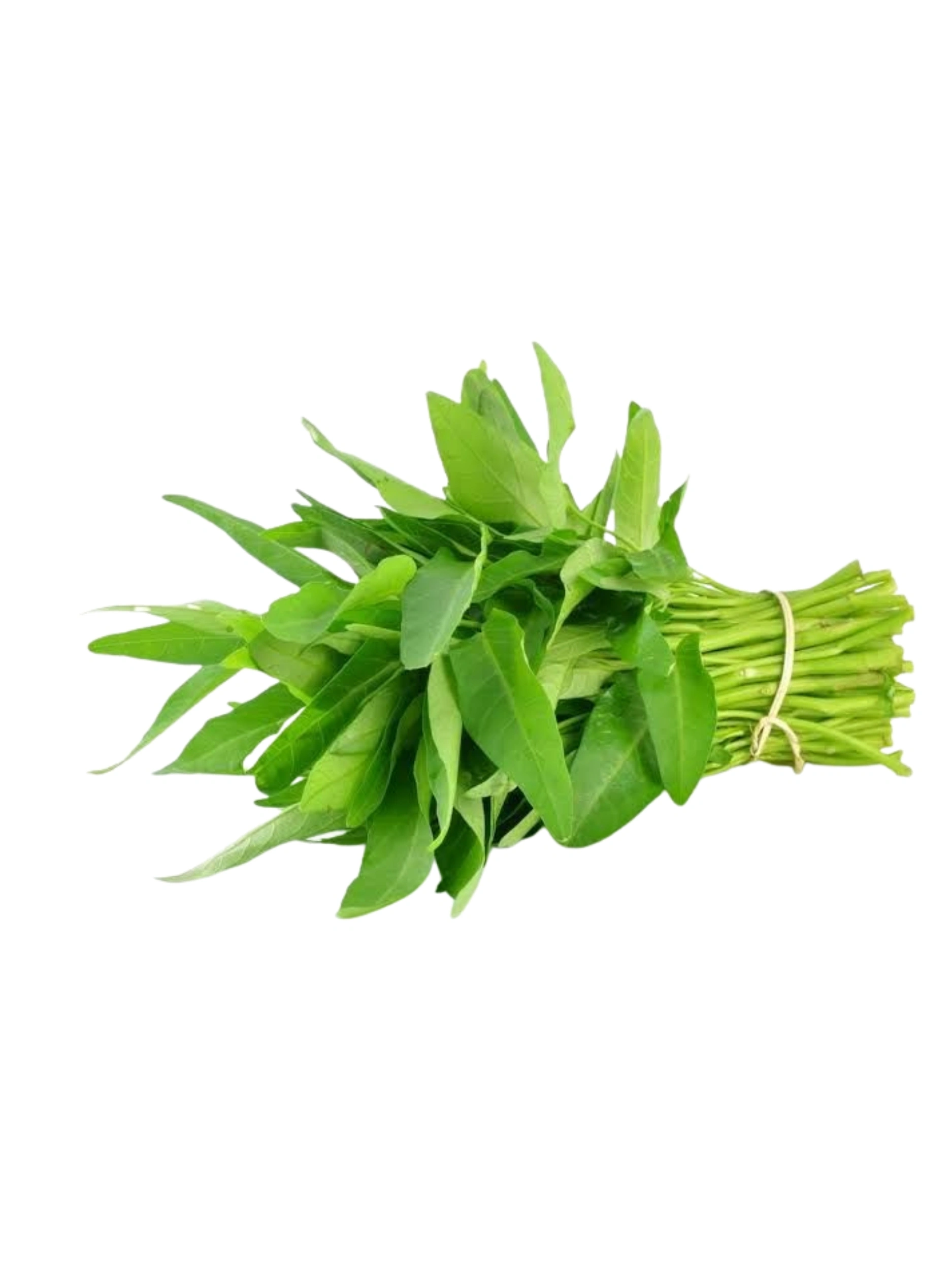 Water Spinach (Kangkung)