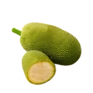 Young Jackfruit