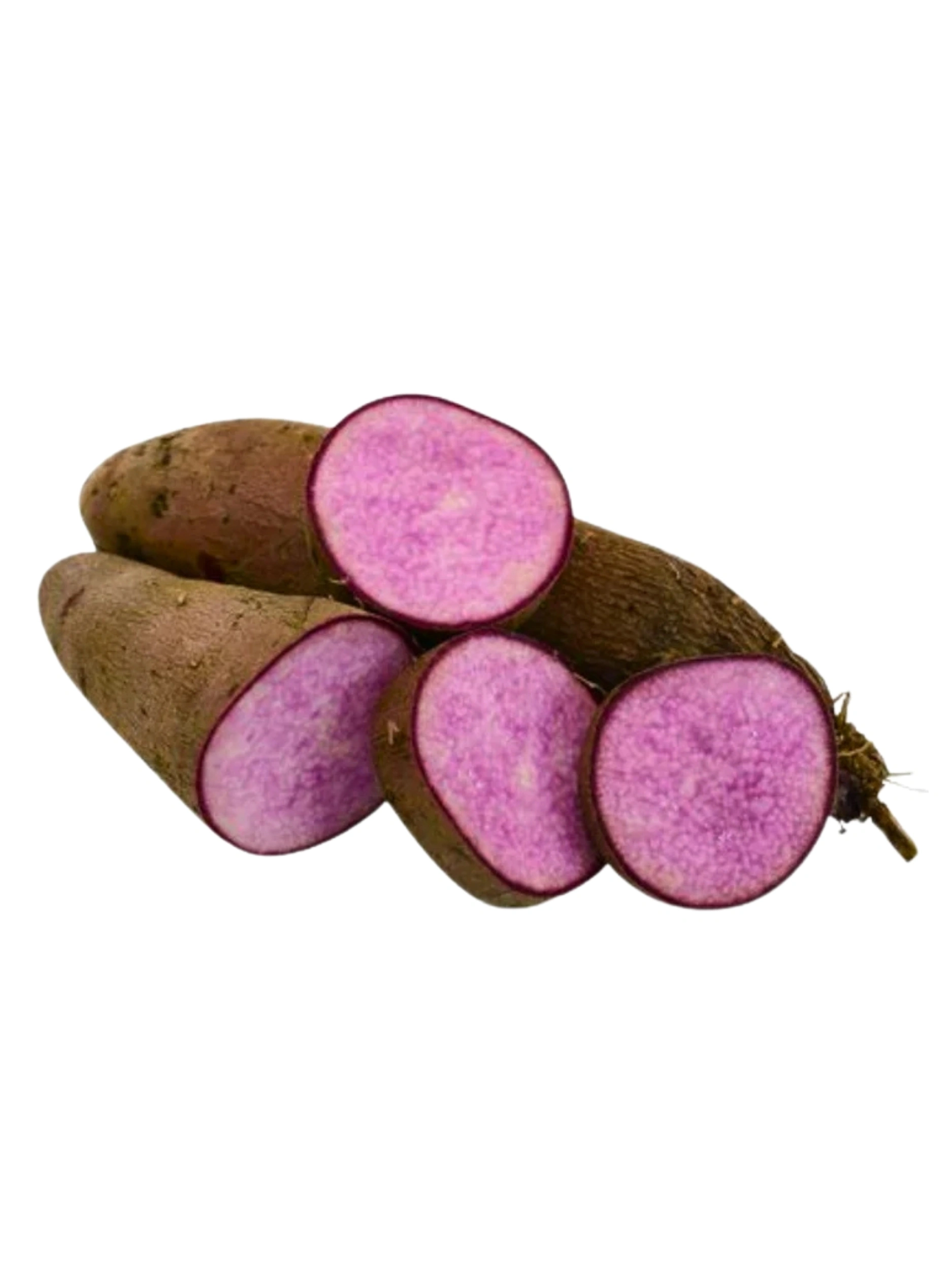Purple yam (Rajala)